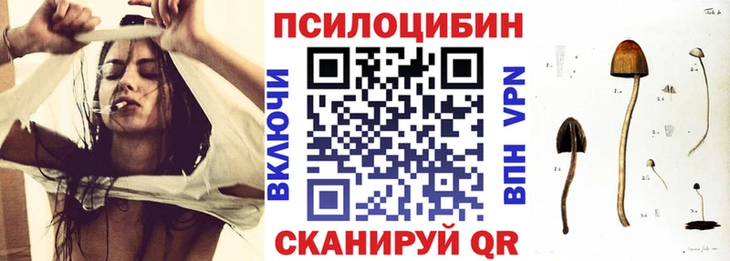 Псилоцибиновые грибы ЛСД  магазин продажи   мега онион  Вытегра 